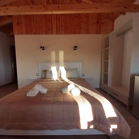Guest House Luiza Borsh Quarto foto