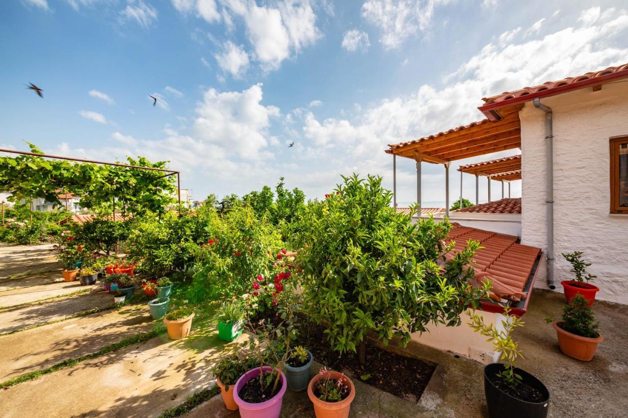 Guest House Luiza Borsh Exterior foto