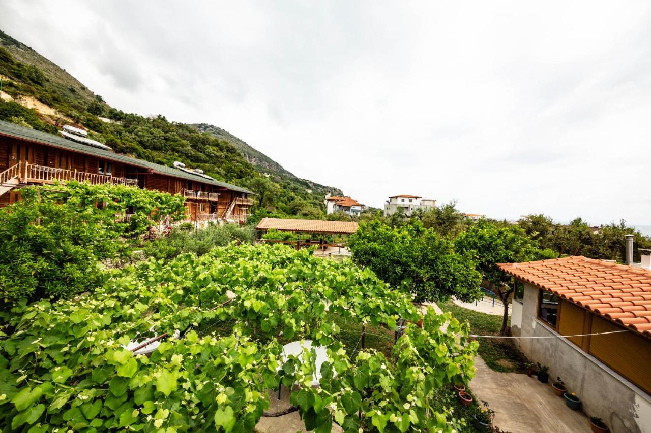 Guest House Luiza Borsh Exterior foto